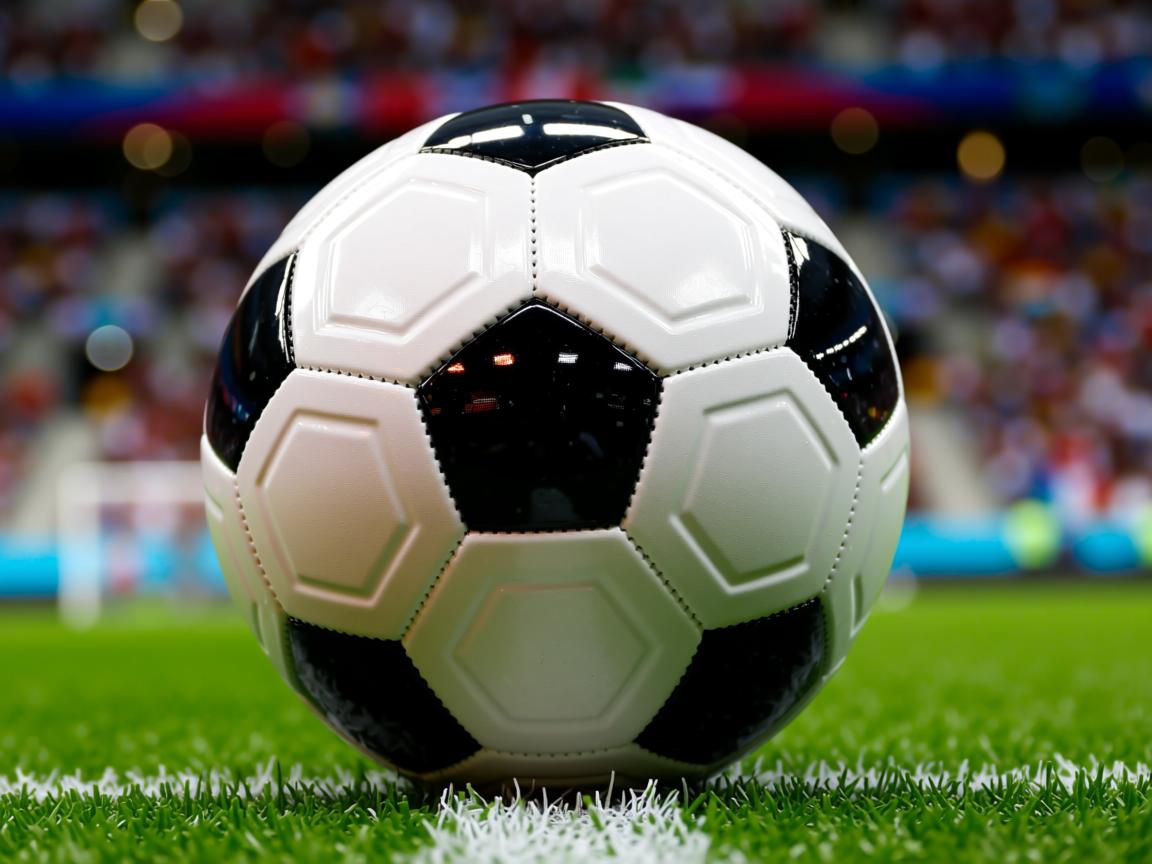 db真人百家乐-体育职业规划咨询服务进入高中课堂，体育职业规划书模板  第3张