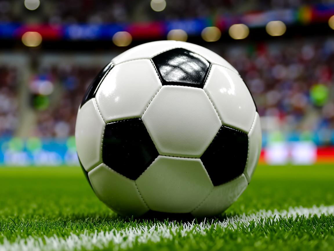 db真人网页版-接力大战美国领先 全场沸腾,美国接力比赛 第2张